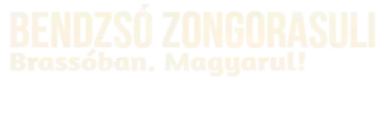 Bendzsó Zongorasuli logo