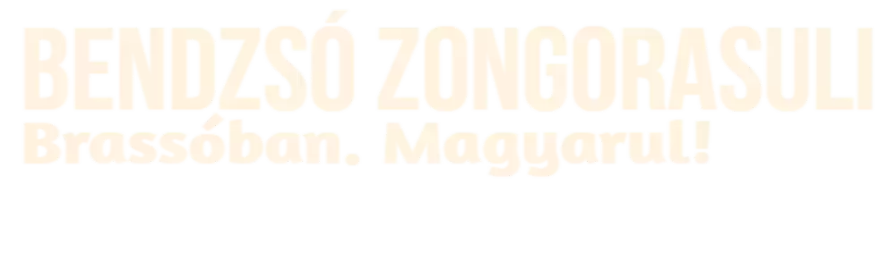 Bendzsó Zongorasuli logo